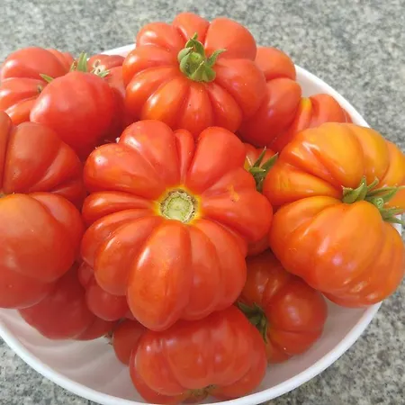 Ortensia Frühstückspension