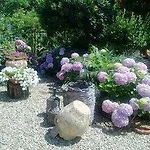 B&B Ortensia