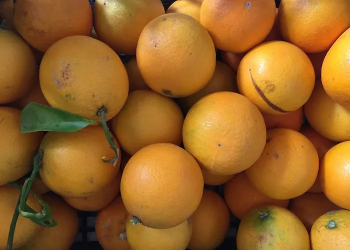 Ortensia Bed & Breakfast